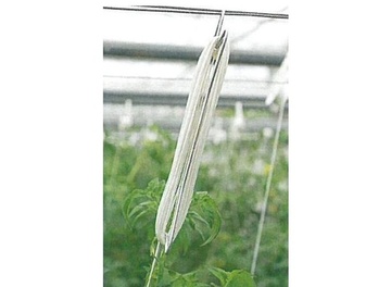 Hák so špagátom na vyväzovanie rastlín v skleníku REMA 1354 TOMATENHAKEN 