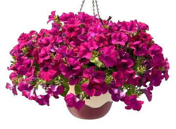Závesný samozavlažovací kvetináč MARETA- Výpredaj