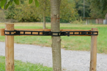 Páska pro upevnění okrasných stromů