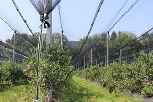 Protikrúpový systém pre záhradkárov 16 x 8 m