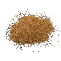 Lucerna - semienka na klíčenie a microgreens