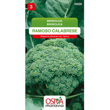 Brokolica RAMOSO CALABRESE