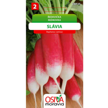 Redkvička podlhovastá SLÁVIA