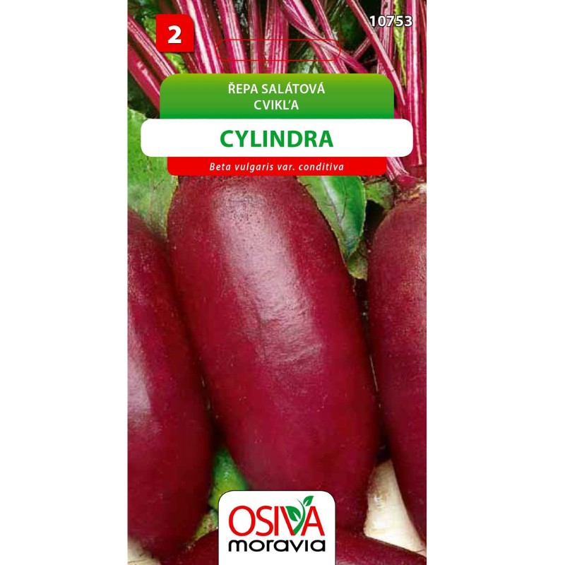 Cvikla šalátová CYLINDRA