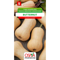 Tekvica maslová BUTTERNUT