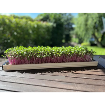 Sada Profi na pestovanie microgreens