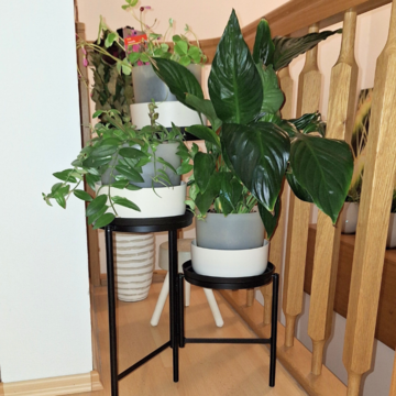 Stojan na kvetináč 42 cm + kvetináč Tolita 1