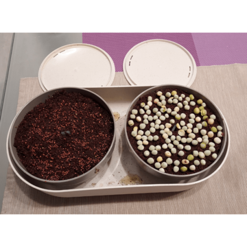 Veľká farma na pestovanie microgreens