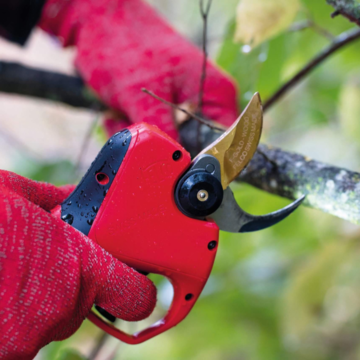 Elektrické nožnice FELCO 834W