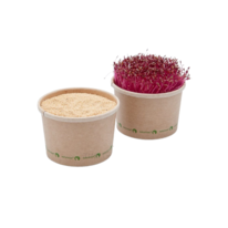 Amarant Fire -  BIO semienka na klíčenie a  microgreens  