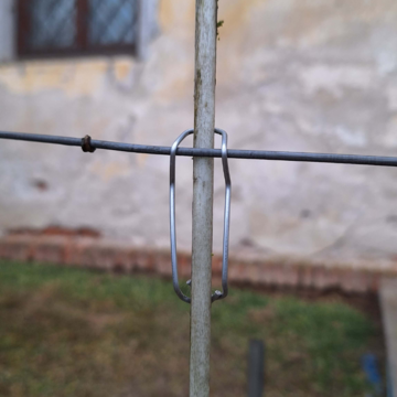 Fixační spona na tyčku VIGNETINOX