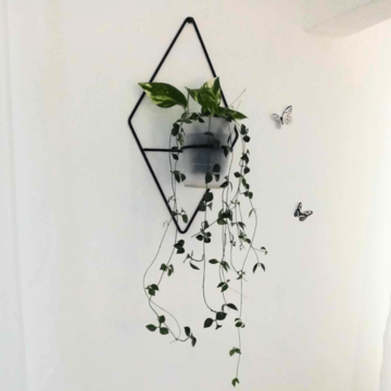 Závesný držiak na kvetináče SHOWY HANGER