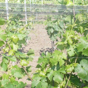Ochranná sieť šírka 2,7 m proti vtáctvu, hmyzu a krúpam, 5m