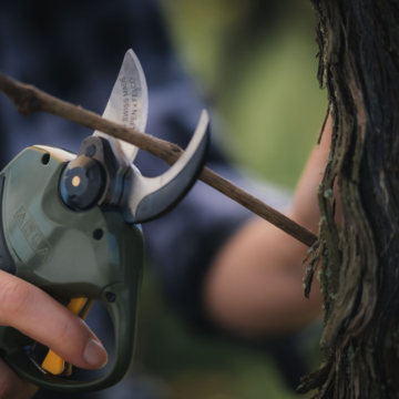 Elektrické nožnice ALPEN Wildhorn 32
