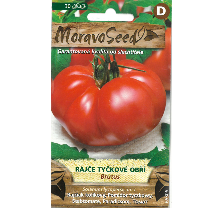 Paradajka kolíková obria BRUTUS