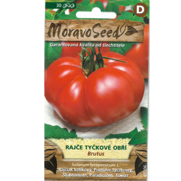 Paradajka kolíková obria BRUTUS