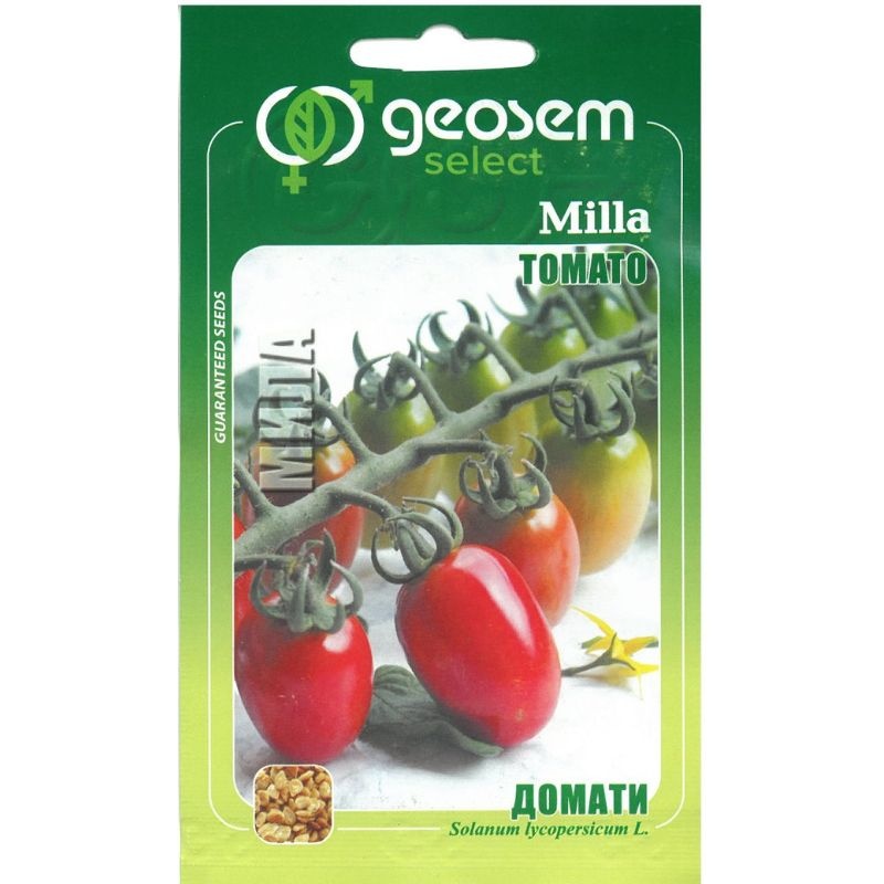 Paradajka kolíková (Bulharské) MILLA