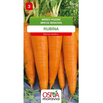 Mrkva neskorá RUBÍNA 