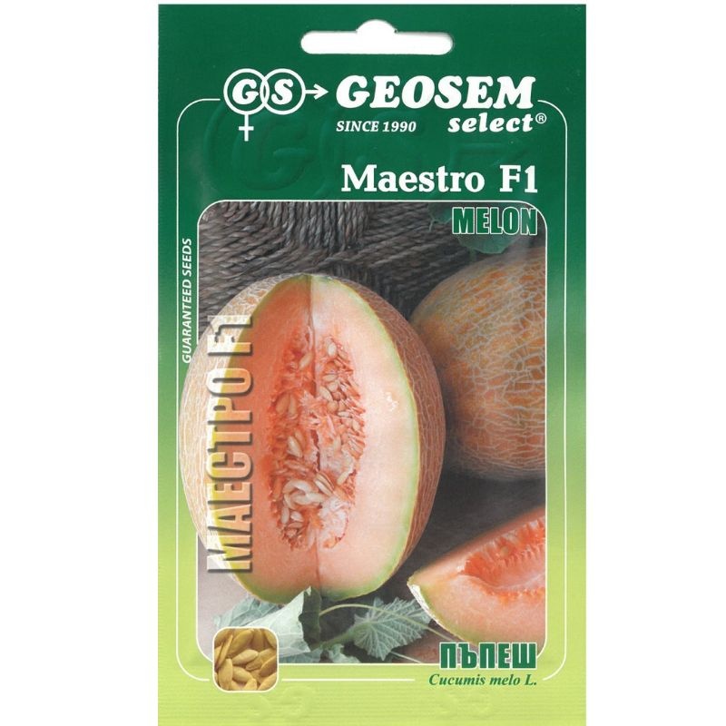 Melon cukrový (Bulharské) MAESTRO F1