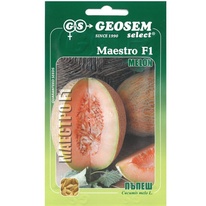 Melon cukrový (Bulharské) MAESTRO F1