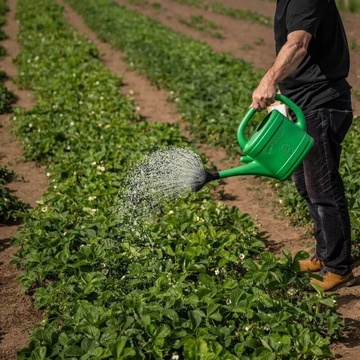 ZEMBIOTIKO pôdny stimulant