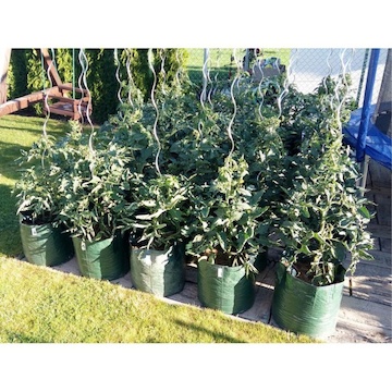 PLANTINBAG pestovateľské vrece