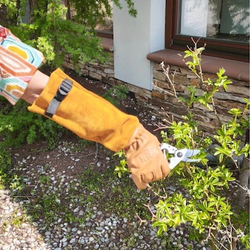 Rukavice FELCO 705 na ruže