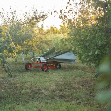 Zberač striasaného ovocia HARVEST