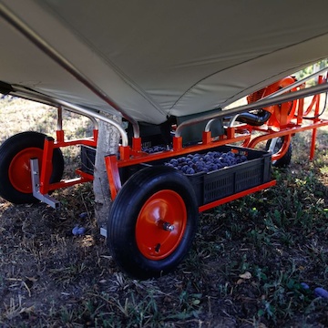 Zberač striasaného ovocia HARVEST