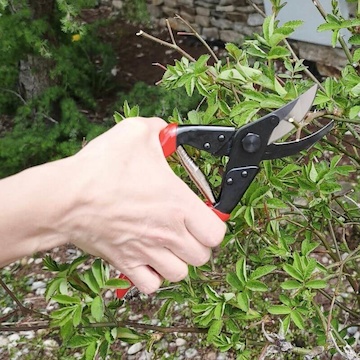 Nožnice Felco 5 pre parky a záhrady