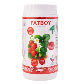 FATBOY minerálne hnojivo 1000 G