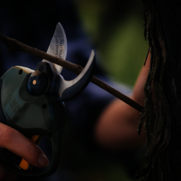 Elektrické nožnice ALPEN Wildhorn 32