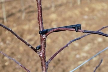 filename_2654_l_1215