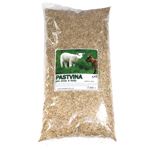 Trávna zmes Pastvina pre ovce a kozy 