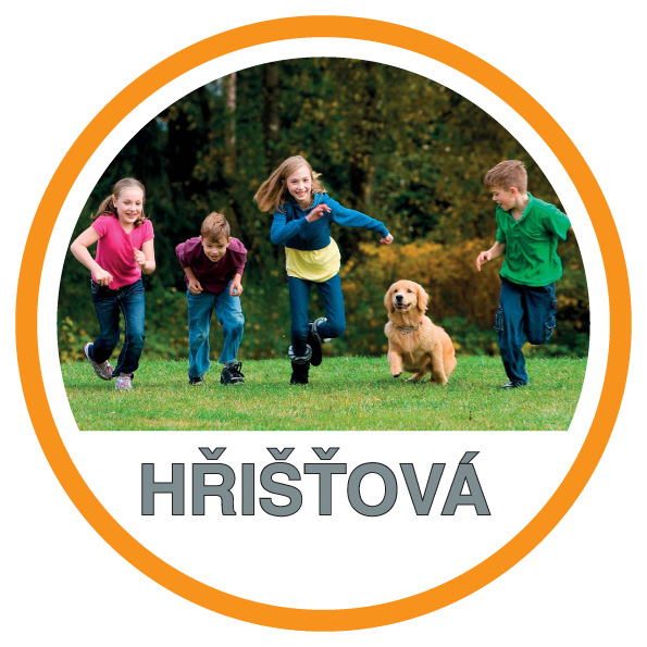 Trávne osivo Ihrisková - hobby rada
