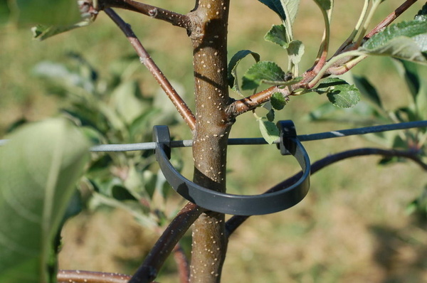 Pásik na uchytenie kmienku REMA STAMMHALTER 125mm - balenie 500 ks