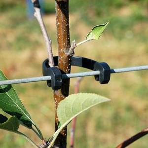 Pásik na uchytenie kmienku REMA STAMMHALTER 310mm 