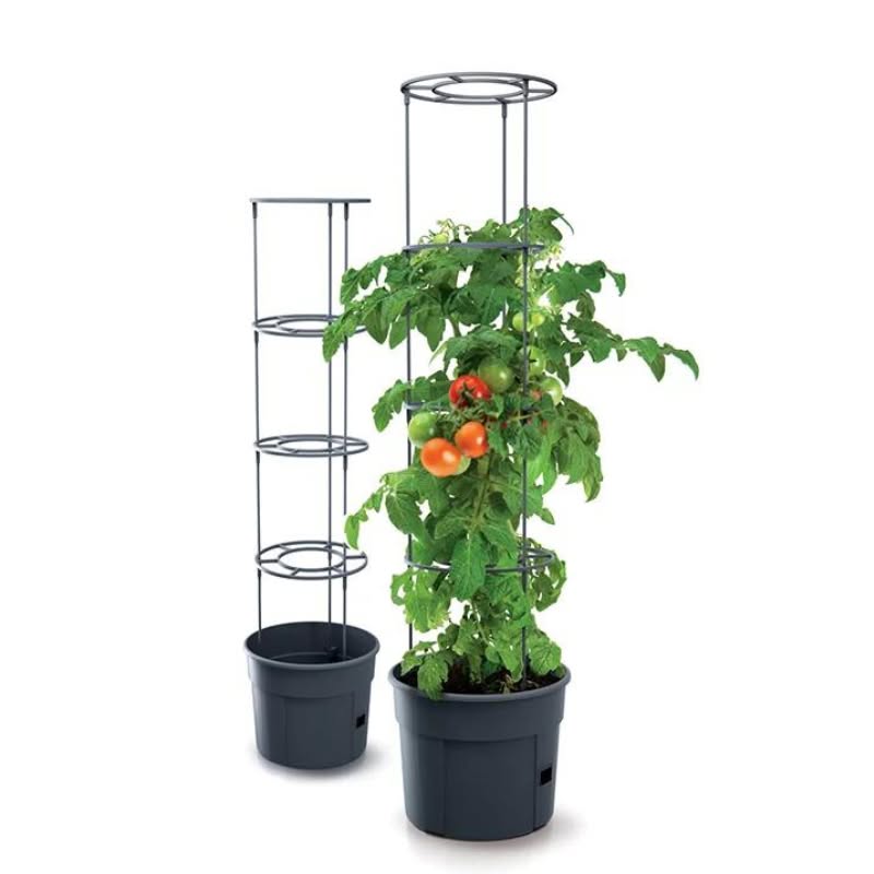 Vypestujte si paradajky, papriku či uhorky na balkóne či terase